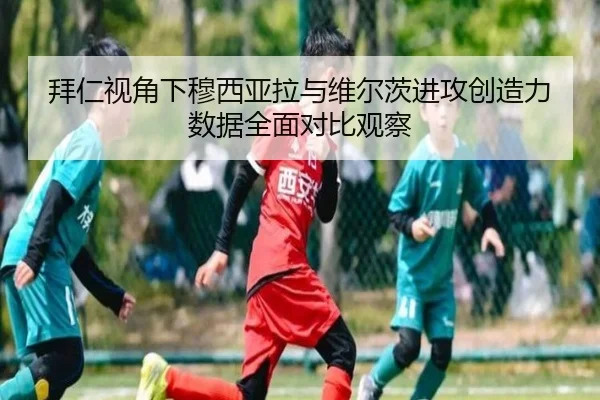 拜仁视角下穆西亚拉与维尔茨进攻创造力数据全面对比观察